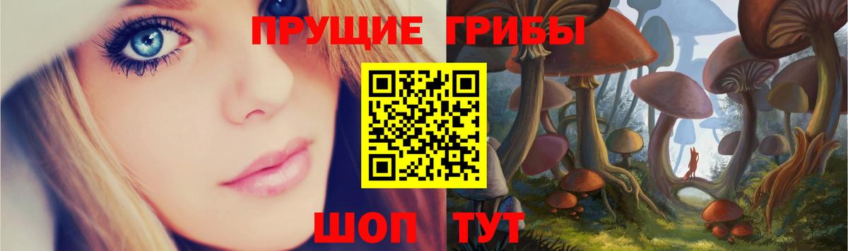 Волжский  Галлюциногенные грибы мухоморы  Вход с VPN  Псилоцибиновые грибы GOLDEN TEACHER 